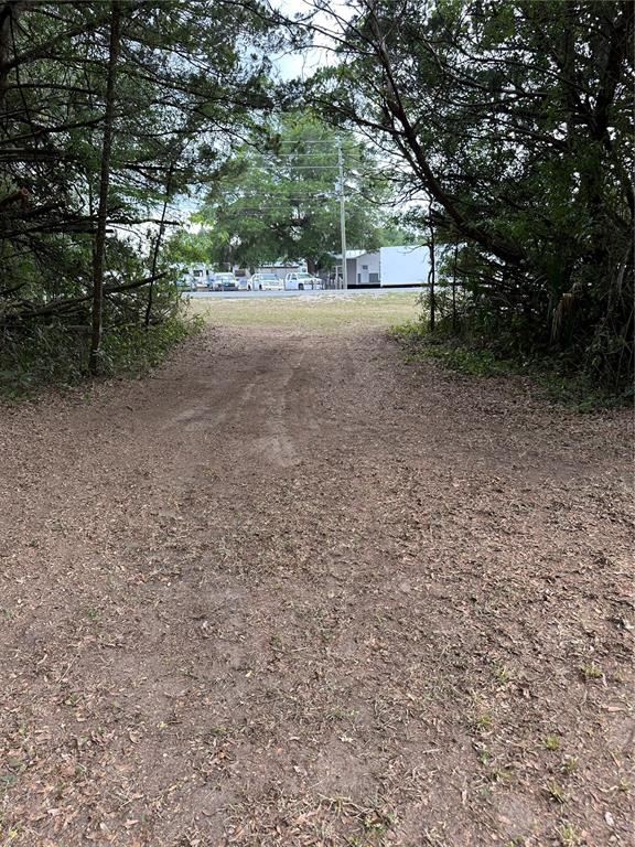 13449 Northeast Jacksonville Road Citra, FL 32113 - Photo 6 of 6 a view of a yard with a tree