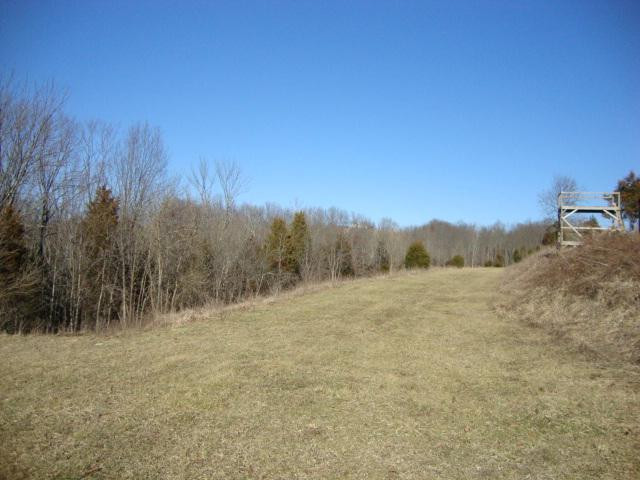 347 Ballinger Road Falmouth, KY 41040 - Photo 18 of 22 Gallery Image 18