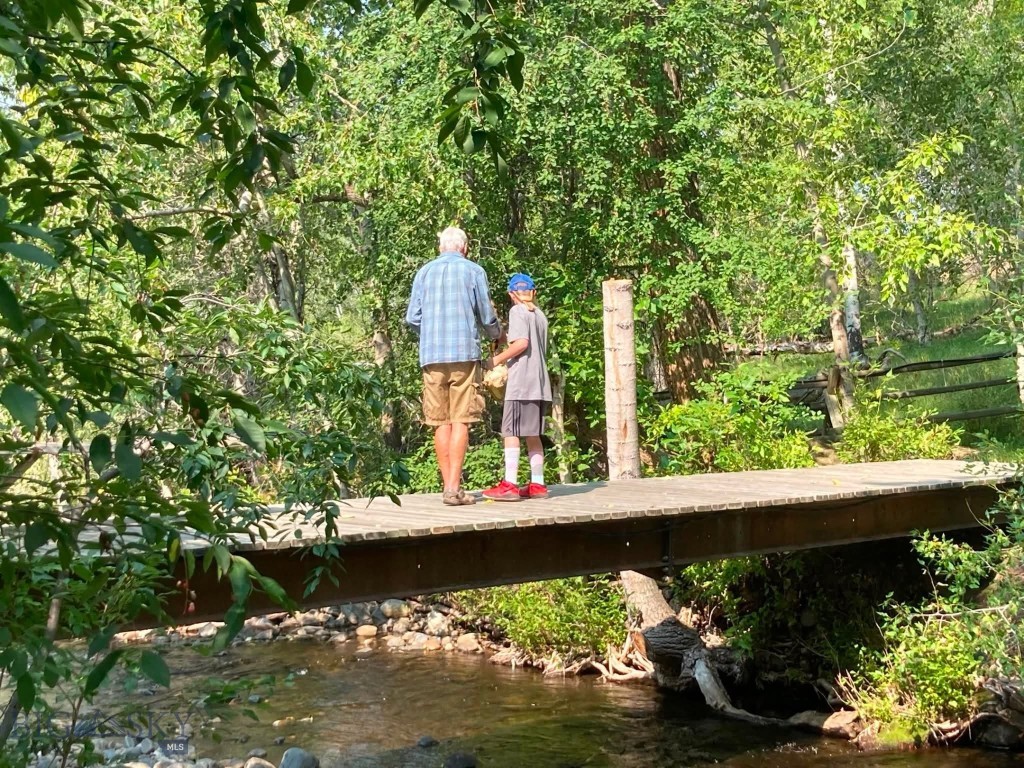 81 Mill Creek Road Sheridan, MT 59749 - Photo 16 of 98 Enjoy the creek and easy access to all areas of the property with family and friends.