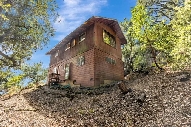 a view of a yard with plants and tree