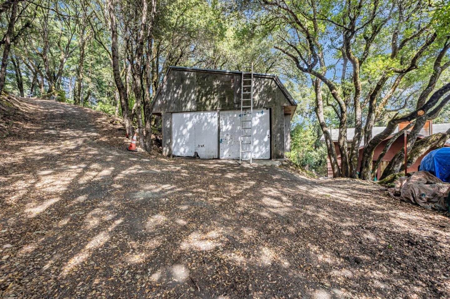 22178 Miller Ridge Road Los Gatos, CA 95033 - Photo 23 of 33 a view of backyard with large trees