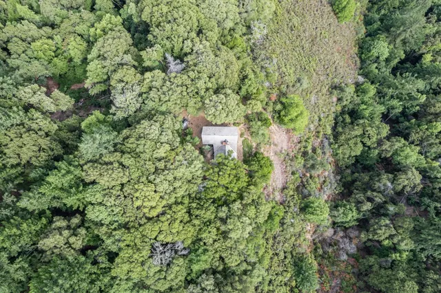 a view of a green field