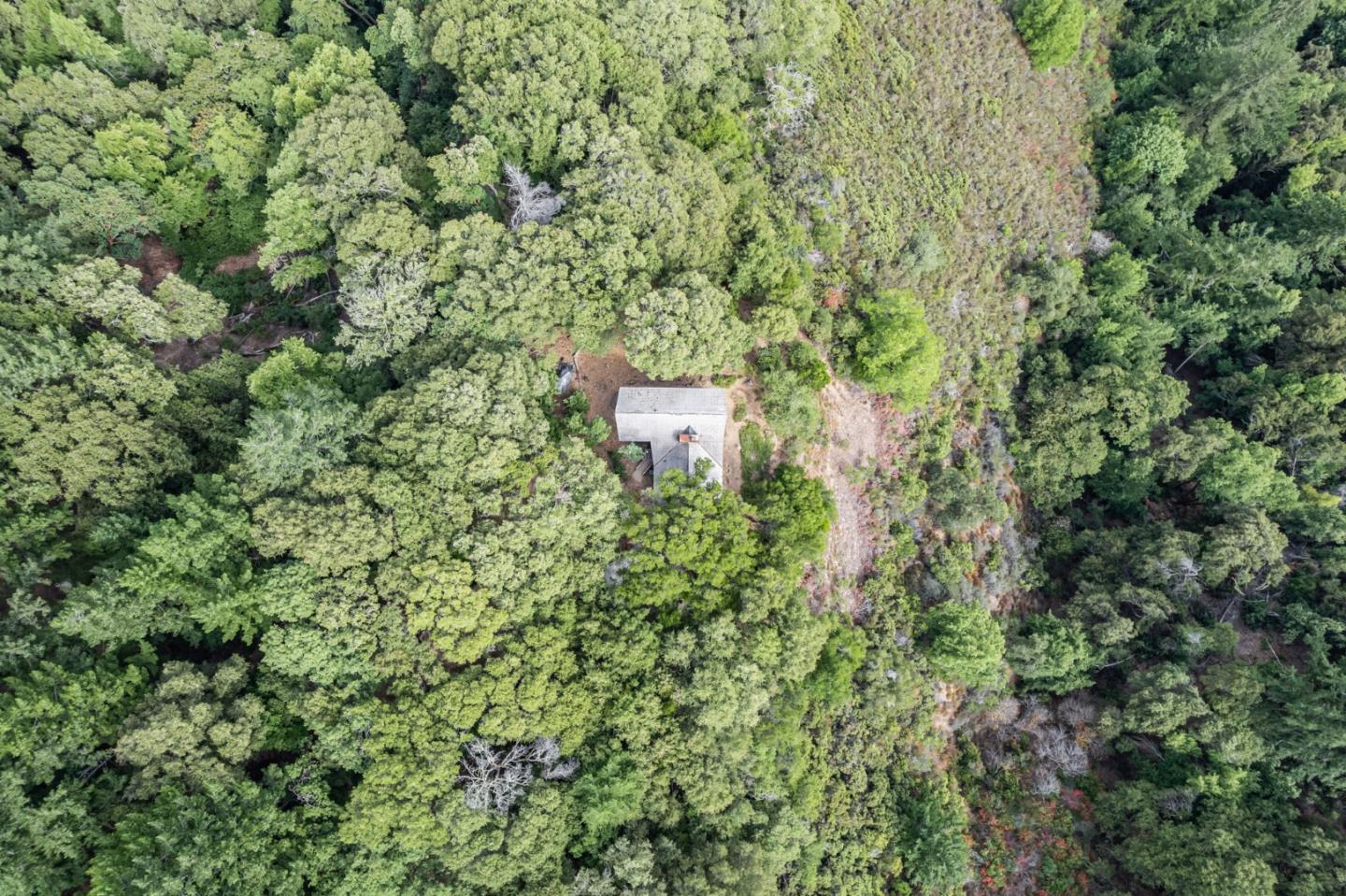 22178 Miller Ridge Road Los Gatos, CA 95033 - Photo 31 of 33 a view of a big yard with plants and large trees