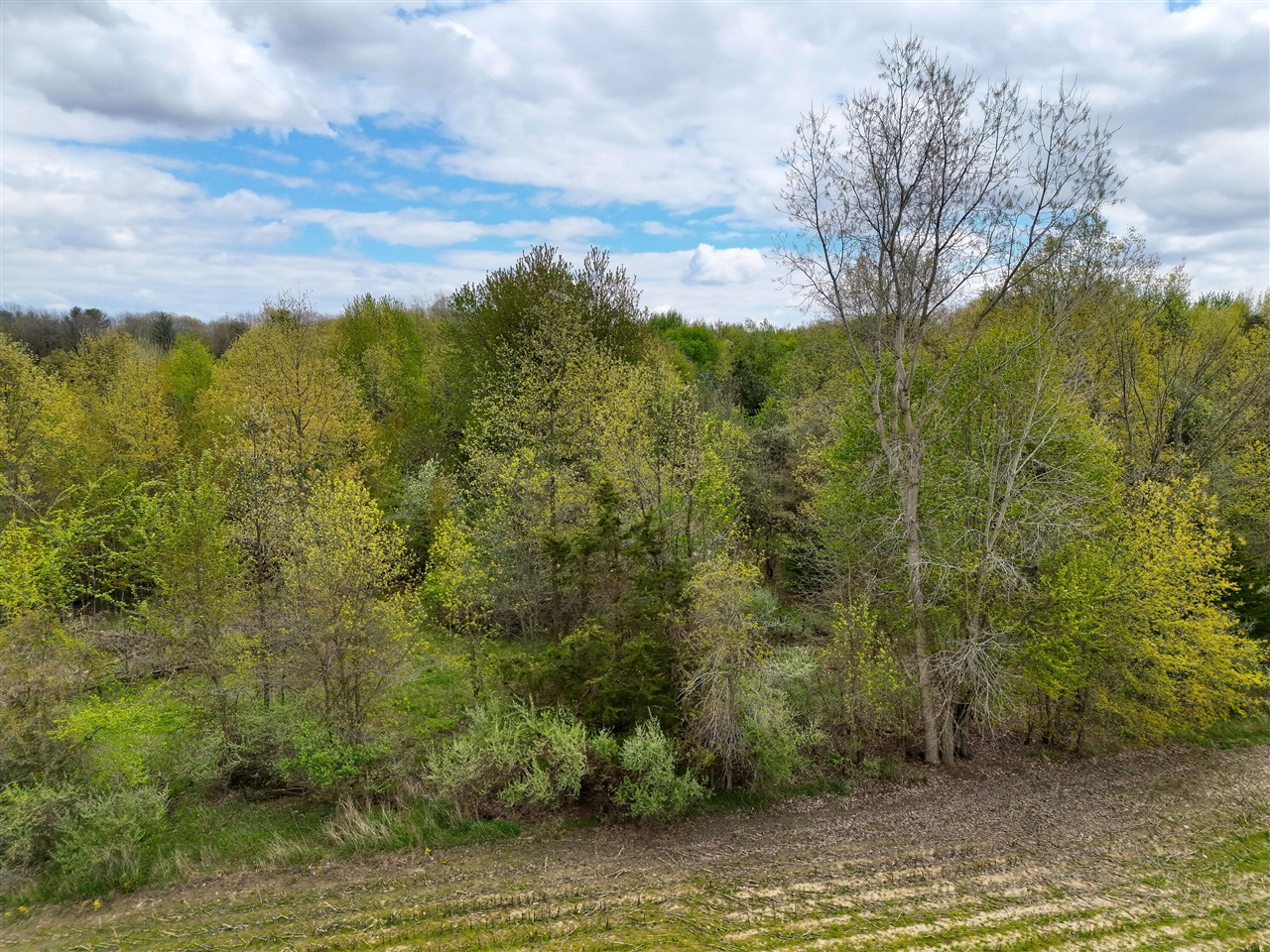 V/l Lot 1 South V/l Road Merrill, MI 48637 - Photo 14 of 18