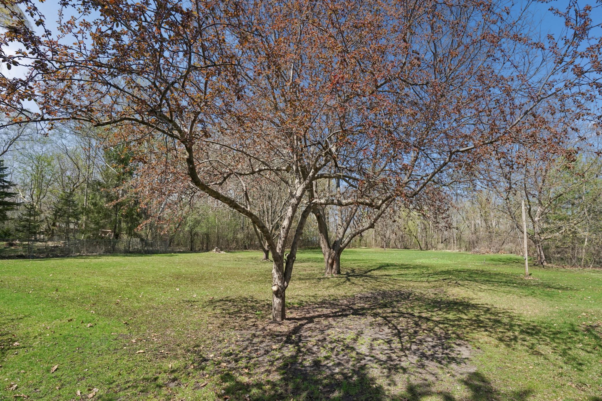 5770 West Main Street Maple Plain, MN 55359 - Photo 65 of 96