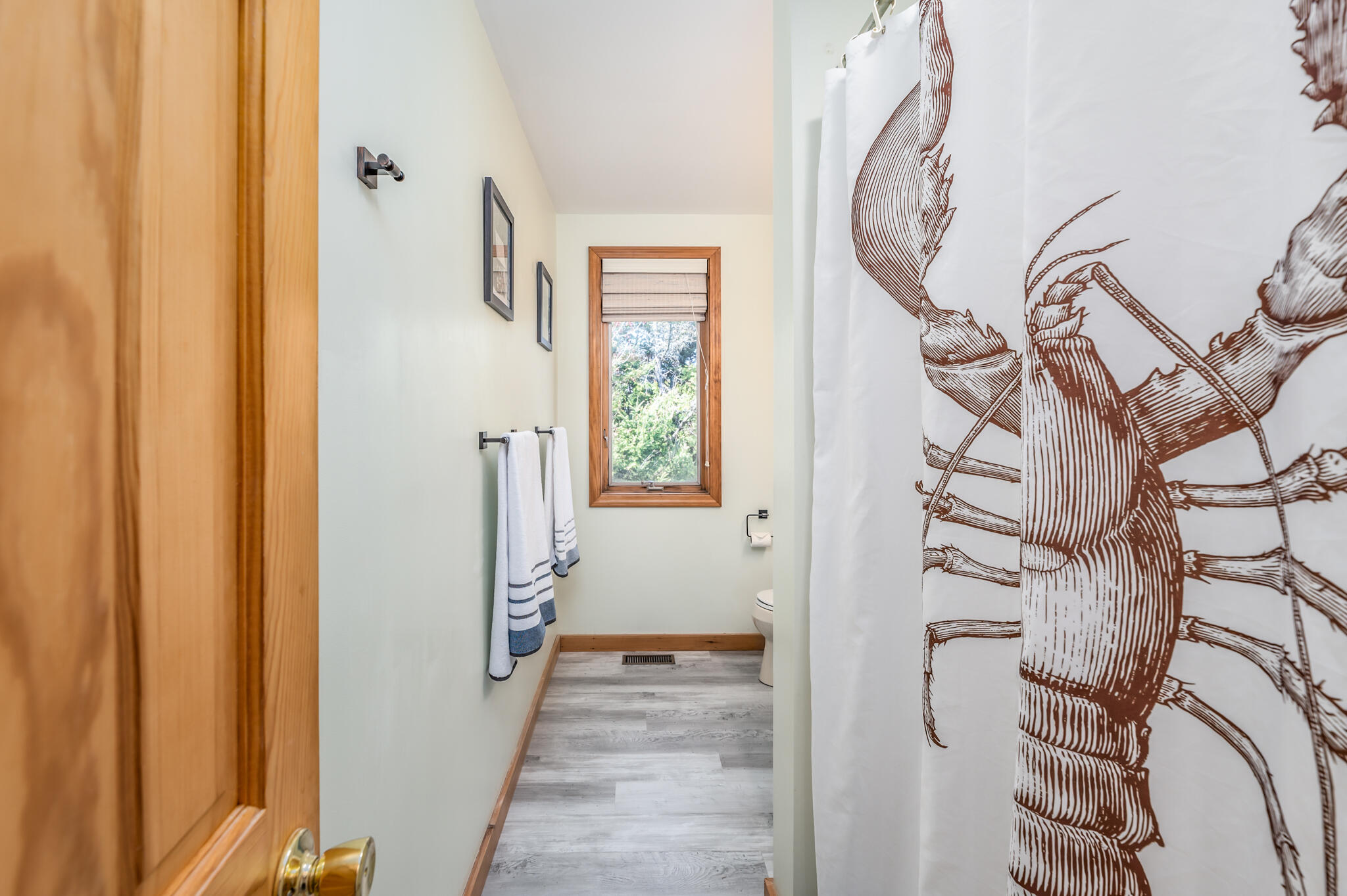 487 Mason Bay Road Jonesport, ME 04649 - Photo 18 of 54 Mason Bay-14