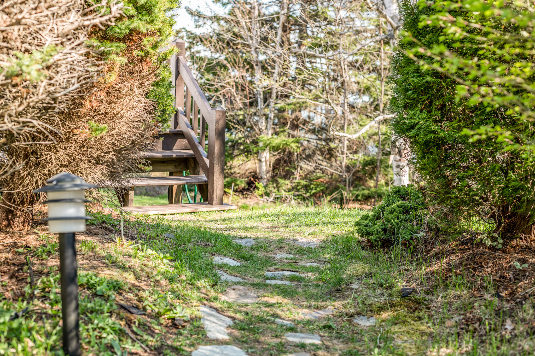 487 Mason Bay Road Jonesport, ME 04649 - Photo 50 of 54 Mason Bay-39