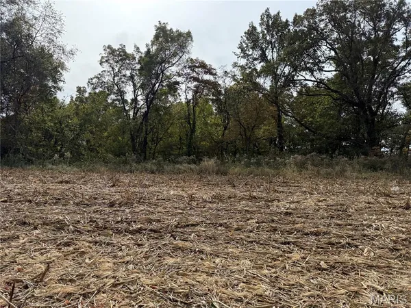 $345,000 | 0 Modoc, Modoc, IL 62261