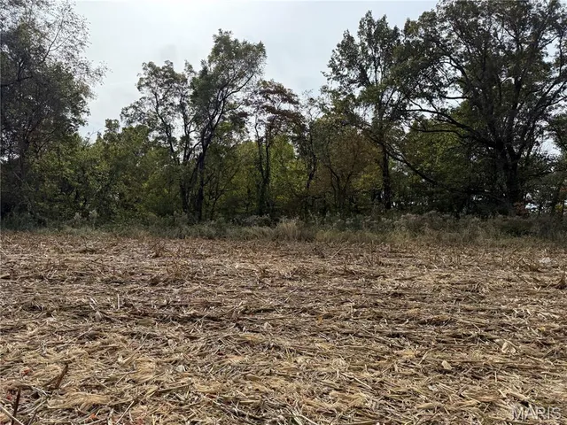 $225,000 | 0 Modoc, Modoc, IL 62261