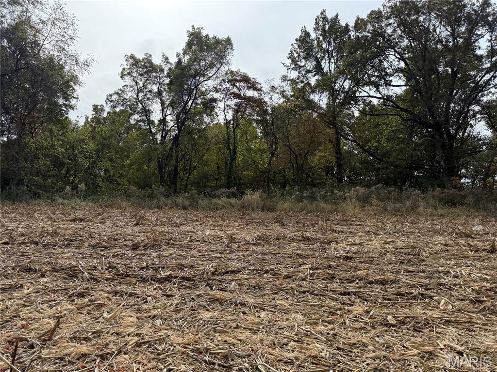 0 Modoc Modoc, IL 62261 - Photo 14 of 15