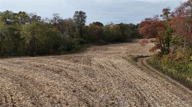 $225,000 | 0 Modoc, Modoc, IL 62261