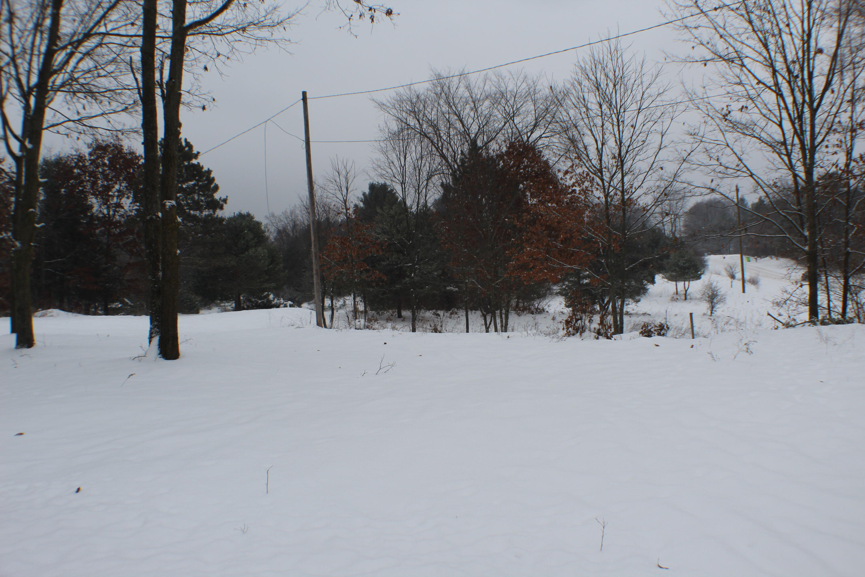 17790 Monroe Road Morley, MI 49336 - Photo 2 of 45 IMG_4946