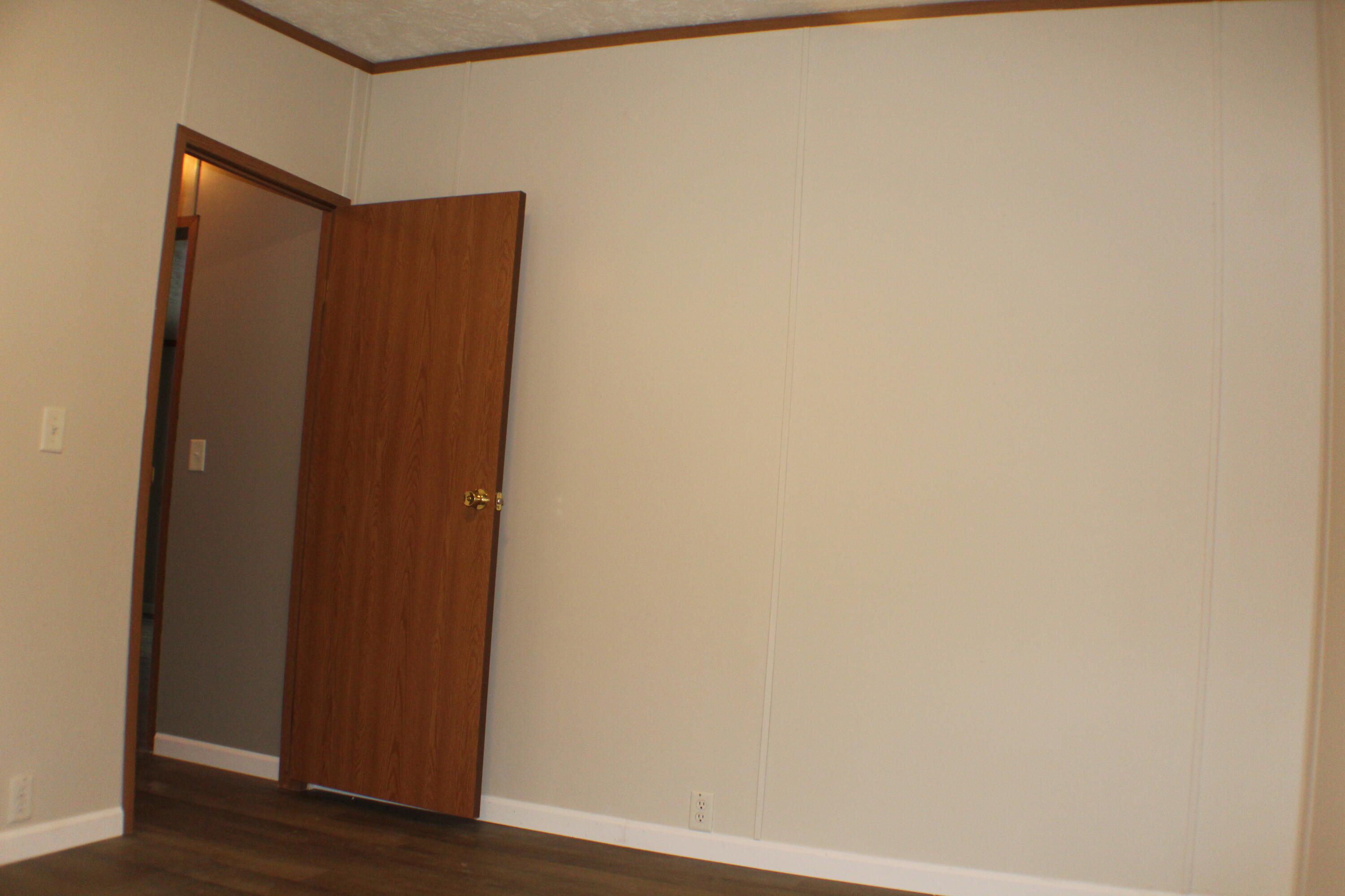 17790 Monroe Road Morley, MI 49336 - Photo 31 of 45 IMG_4965