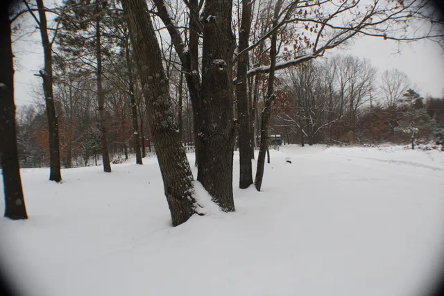 $209,900 | 17790 Monroe Road, Morley, MI 49336