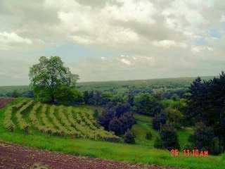 550 Fleming Road Sarver, PA 16055 - Photo 6 of 8 View.