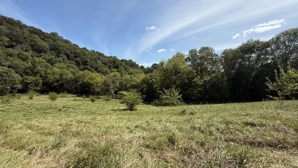 $725,000 | 4125 Dry Creek Road, Celina, TN 38551