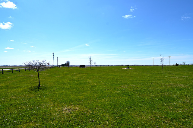 3503 East 10th Road Utica, IL 61373 - Photo 14 of 14 a view of a field with a tree