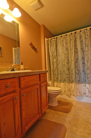 3503 East 10th Road Utica, IL 61373 - Photo 10 of 14 a bathroom with a sink and a mirror