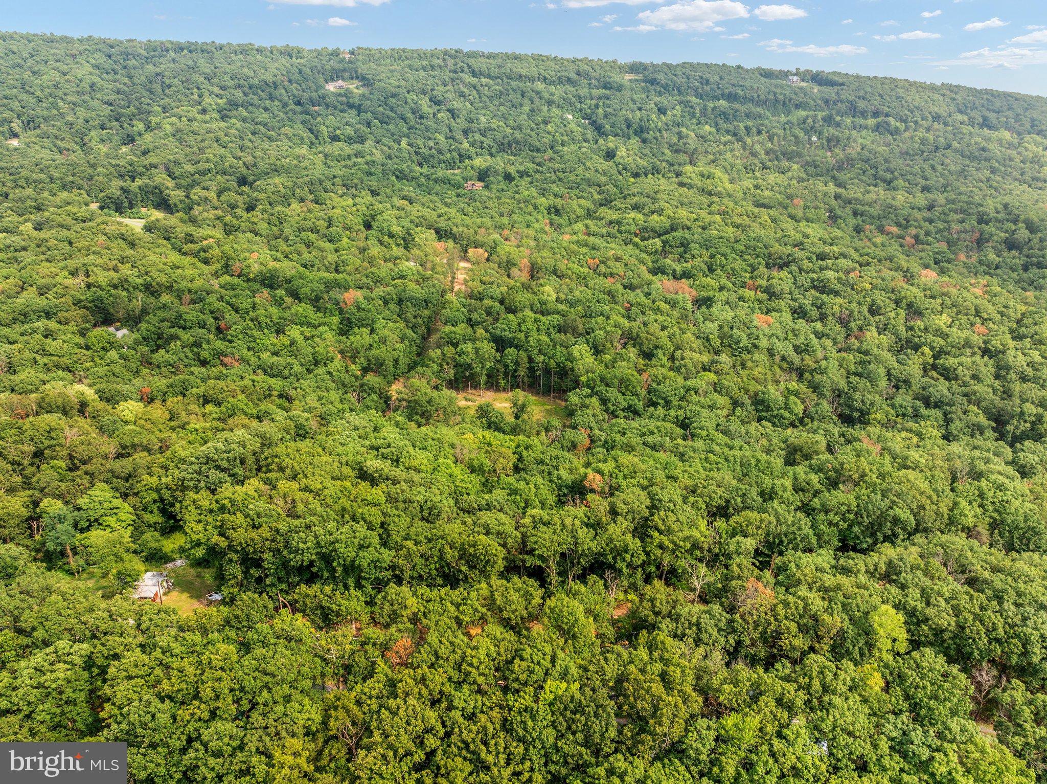 Apprentice Way Gerrardstown, WV 25420 - Photo 14 of 21 DJI_20260812161633_0084_D_Lot 29 Section 1 12.59 a