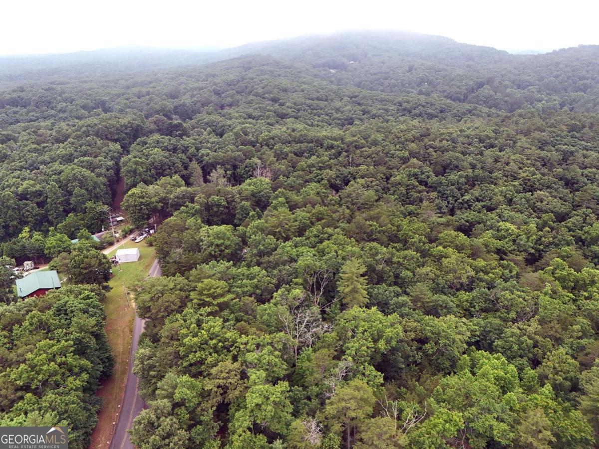 Lot 3 Cook Henry Road Blairsville, GA 30512 - Photo 10 of 18