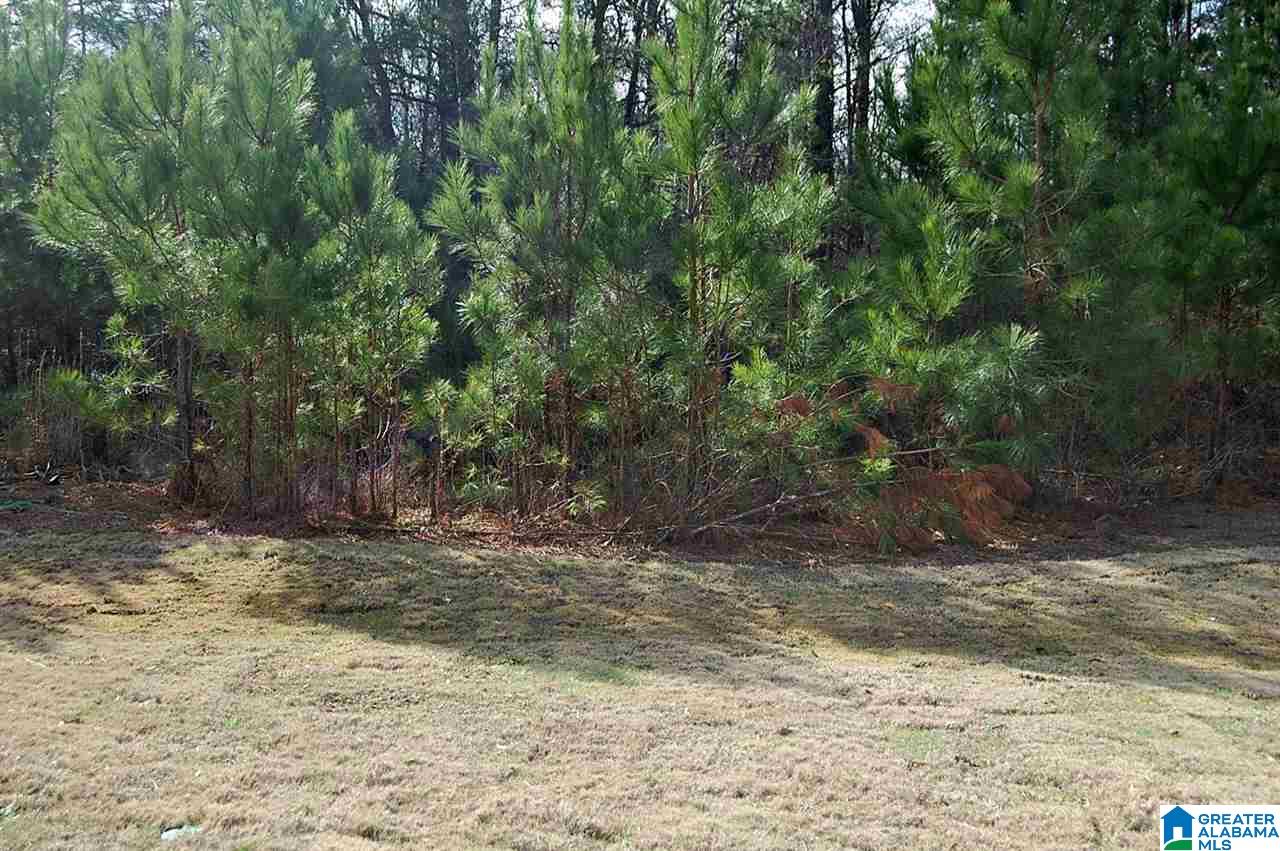 218 Sarah Way Kimberly, AL 35091 - Photo 7 of 15