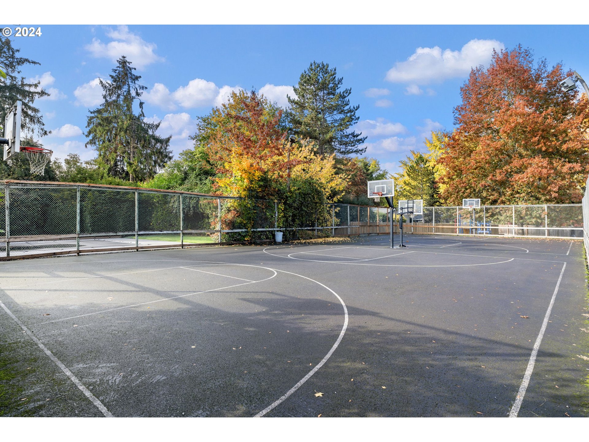 20858 Southwest Rosa Drive Beaverton, OR 97078 - Photo 34 of 35 Community Basketball