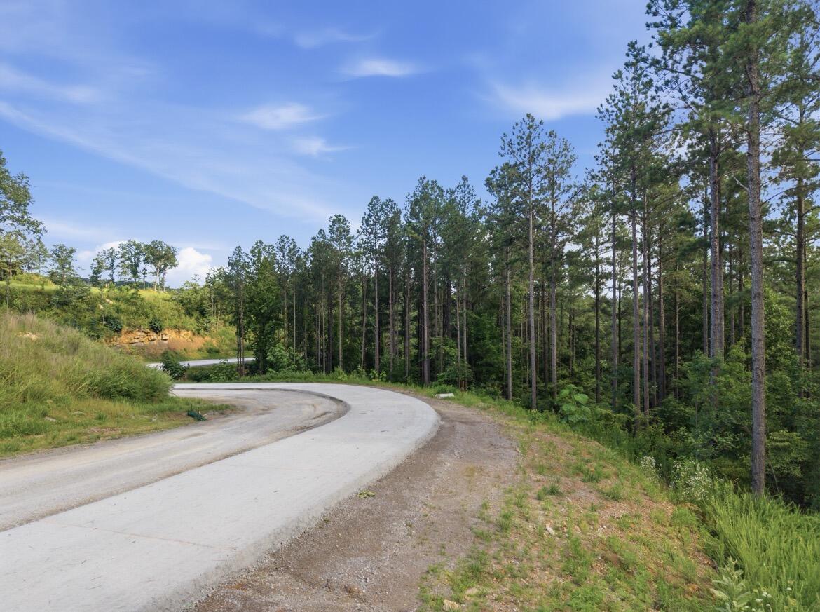 1141 Split Rail Way Guild, TN 37340 - Photo 8 of 12 Split Rail Way