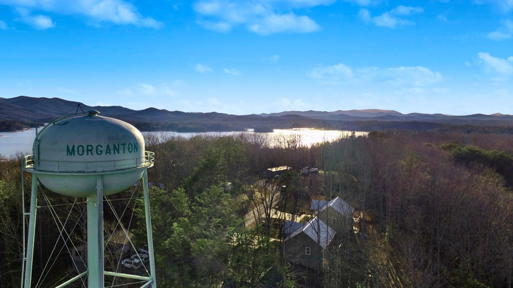 374 Prince Drive Morganton, GA 30560 - Photo 60 of 60 a view of a lake with a mountain in the background