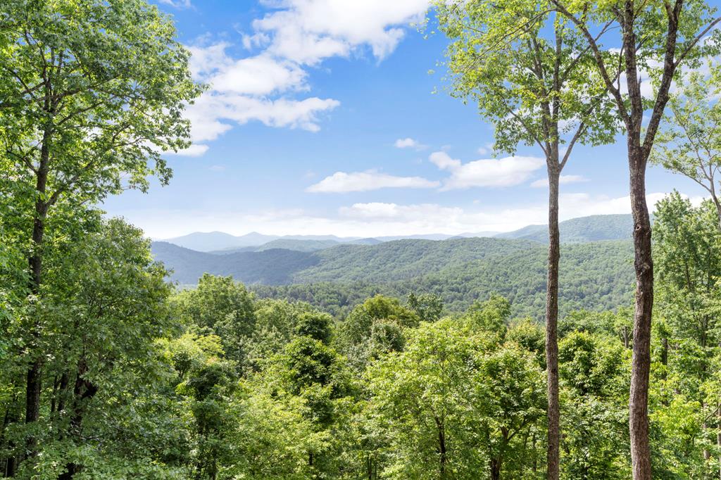 176 Cochise Road Cherry Log, GA 30522 - Photo 41 of 55