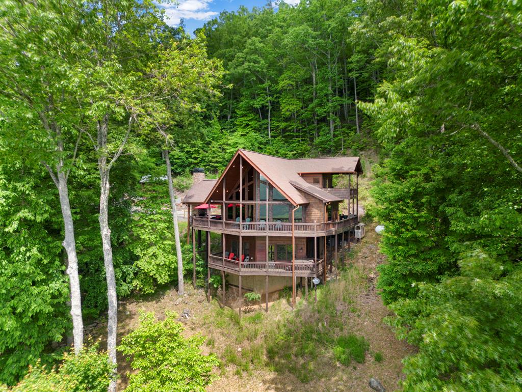 176 Cochise Road Cherry Log, GA 30522 - Photo 44 of 55