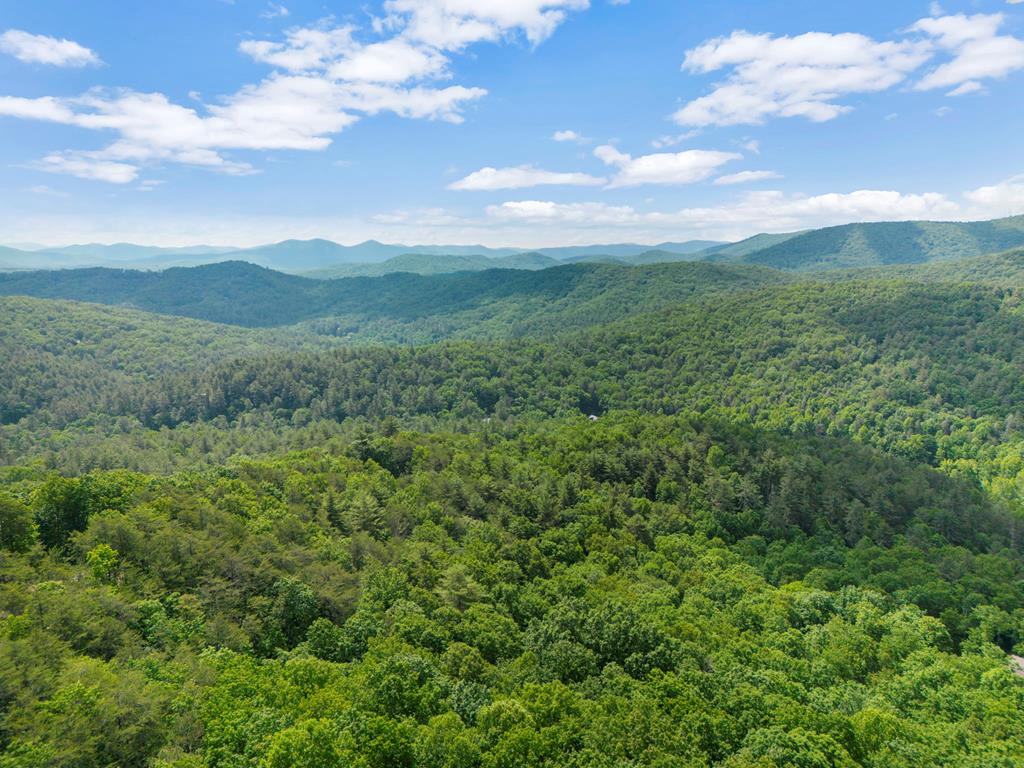 176 Cochise Road Cherry Log, GA 30522 - Photo 50 of 55