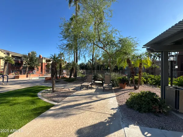 a view of a park with palm trees