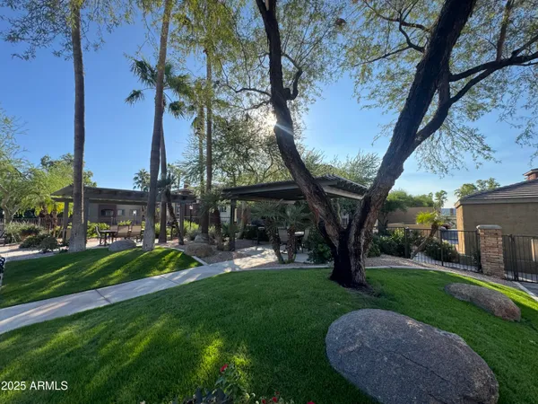 a view of a garden with a tree in the grass