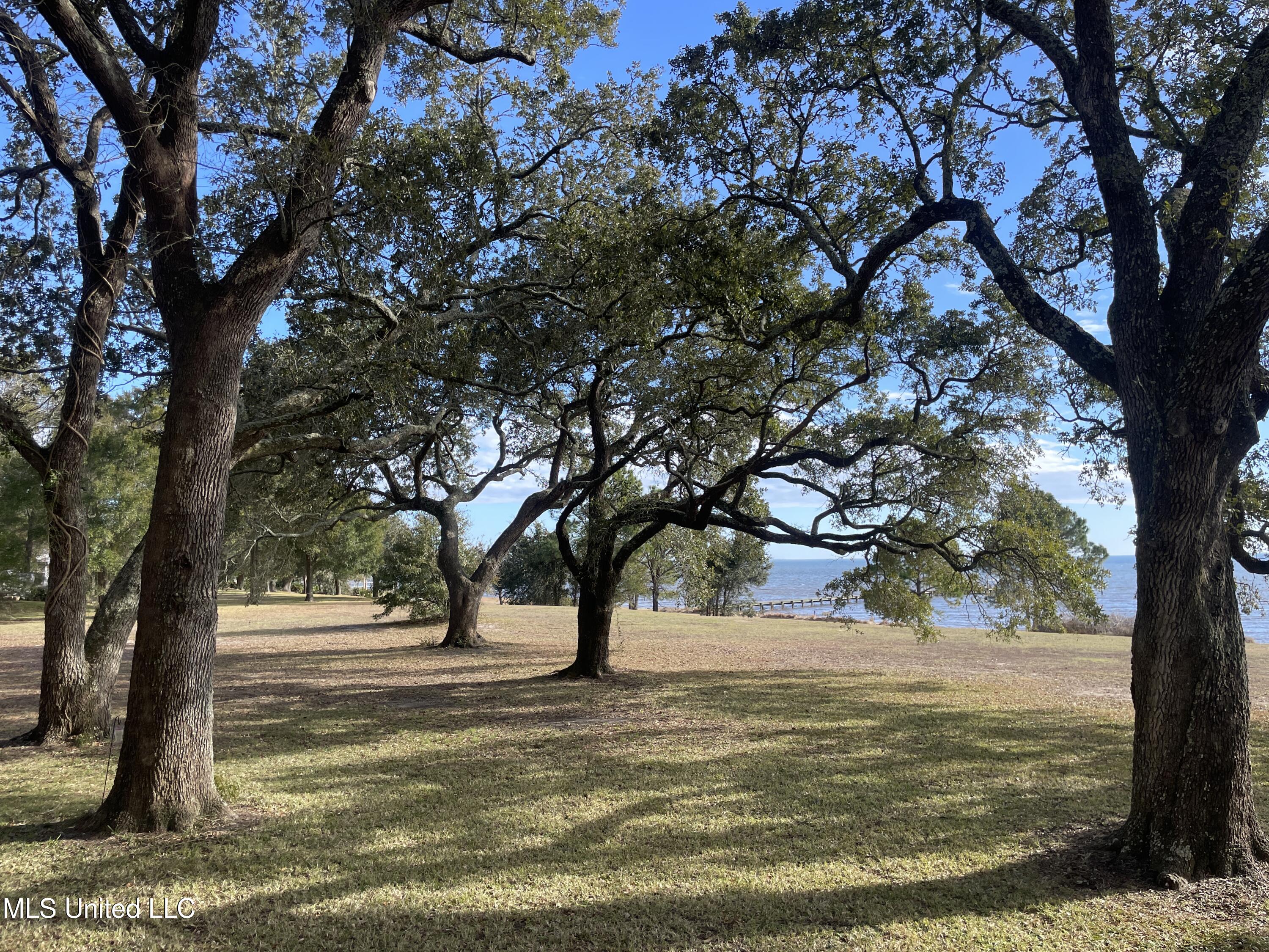 12001 Pointe Aux Chenes Road Ocean Springs, MS 39564 - Photo 137 of 143 Lovely Yard
