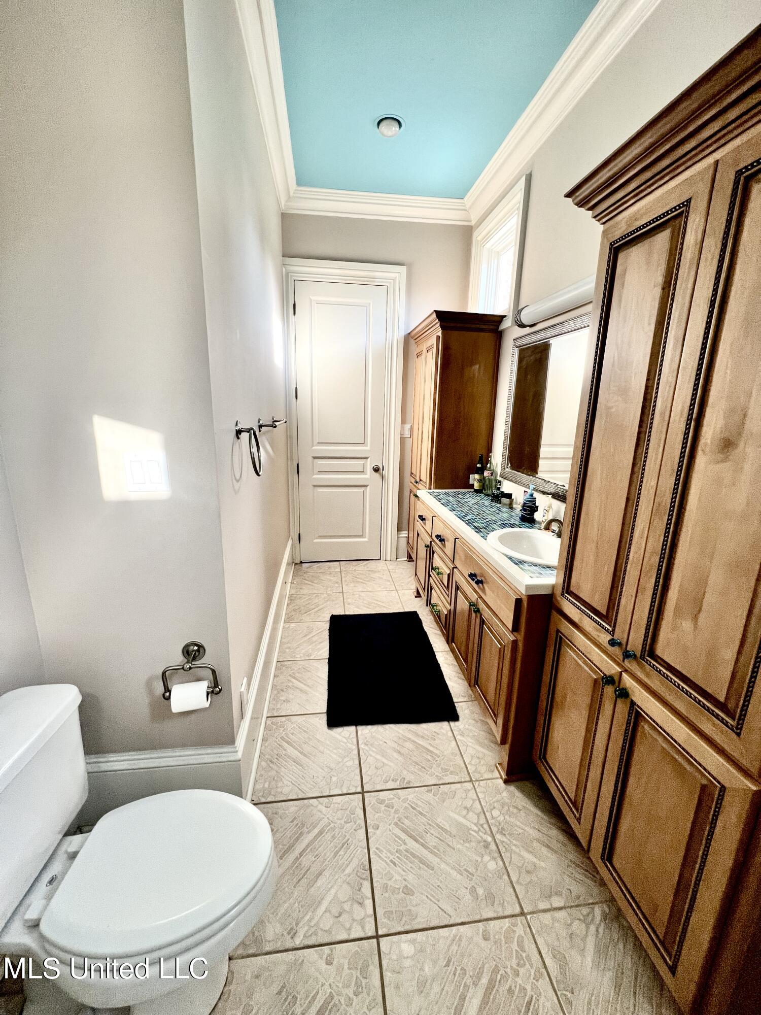 12001 Pointe Aux Chenes Road Ocean Springs, MS 39564 - Photo 64 of 143 Plenty storage binet