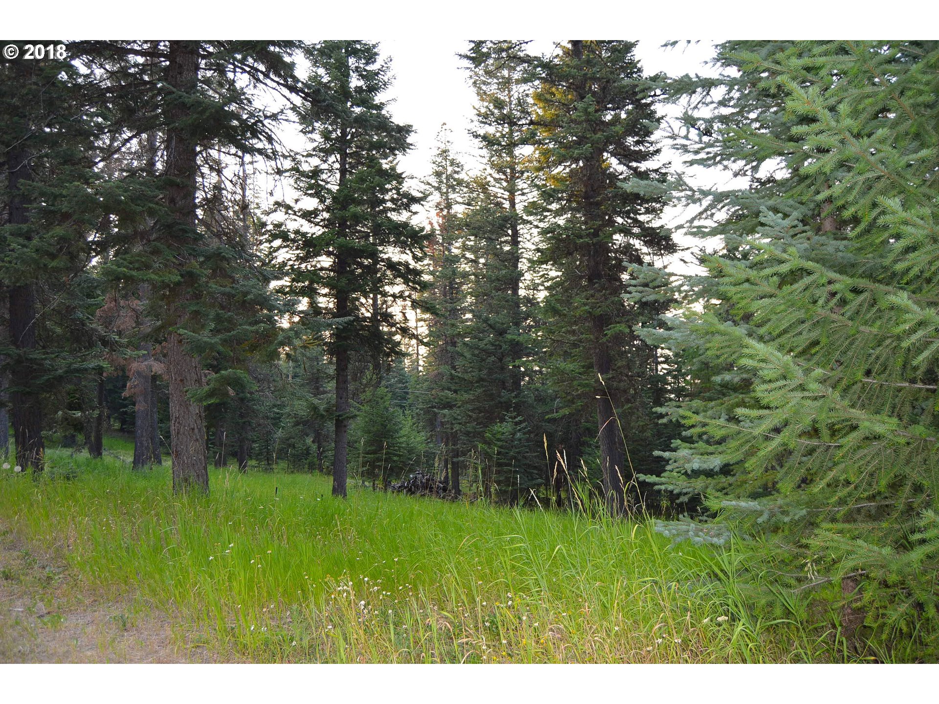 61256 Ski Run Road Joseph, OR 97846 - Photo 23 of 31 Gallery Image 23