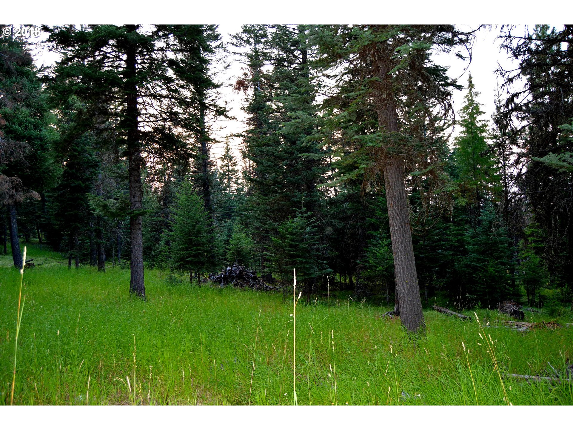 61256 Ski Run Road Joseph, OR 97846 - Photo 24 of 31 Gallery Image 24