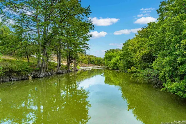 a view of a lake with a yard and large trees