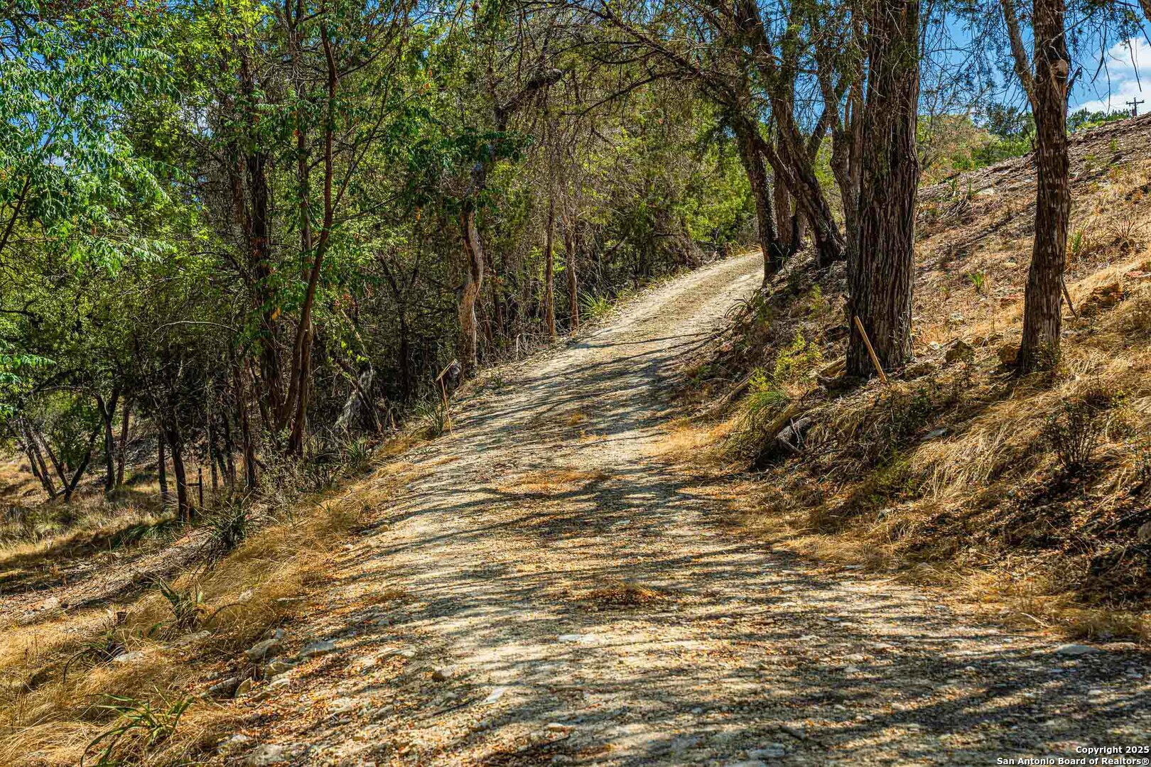 105 A Oleander Road Comfort, TX 78013 - Photo 12 of 25 a view of a forest with trees