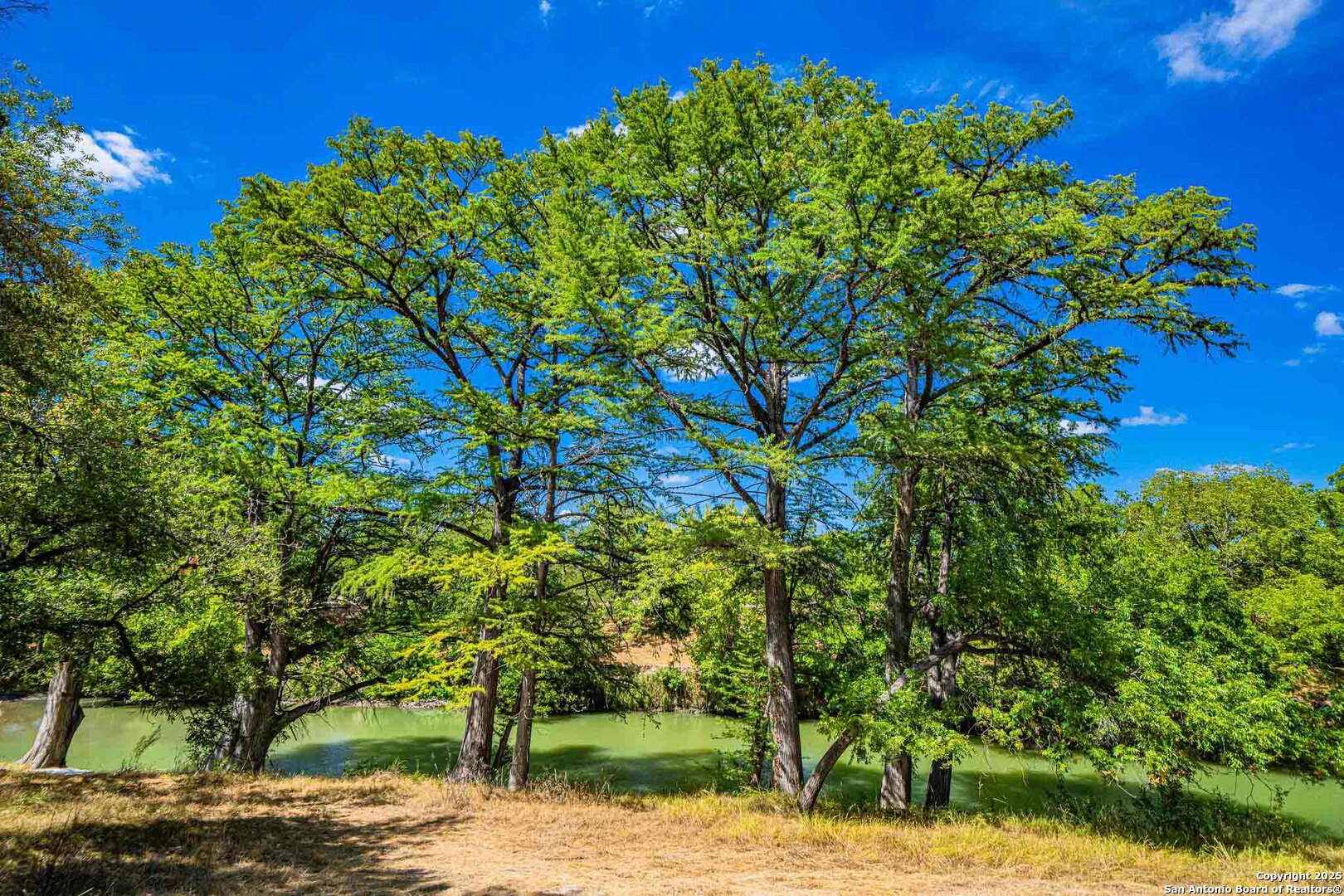105 A Oleander Road Comfort, TX 78013 - Photo 15 of 25 a backyard of a house with lots of green space