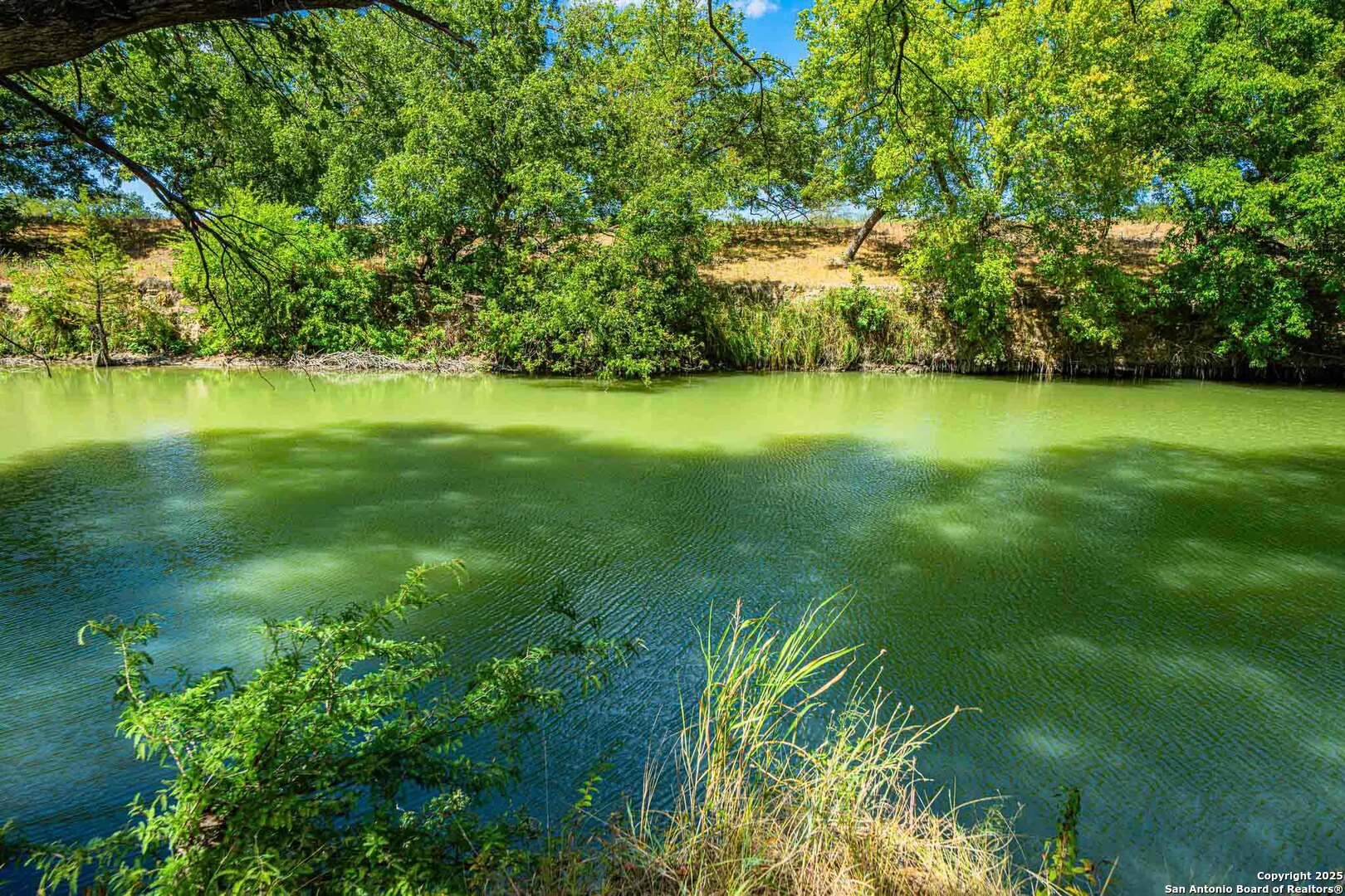 105 A Oleander Road Comfort, TX 78013 - Photo 20 of 25 a view of yard with swimming pool and green space