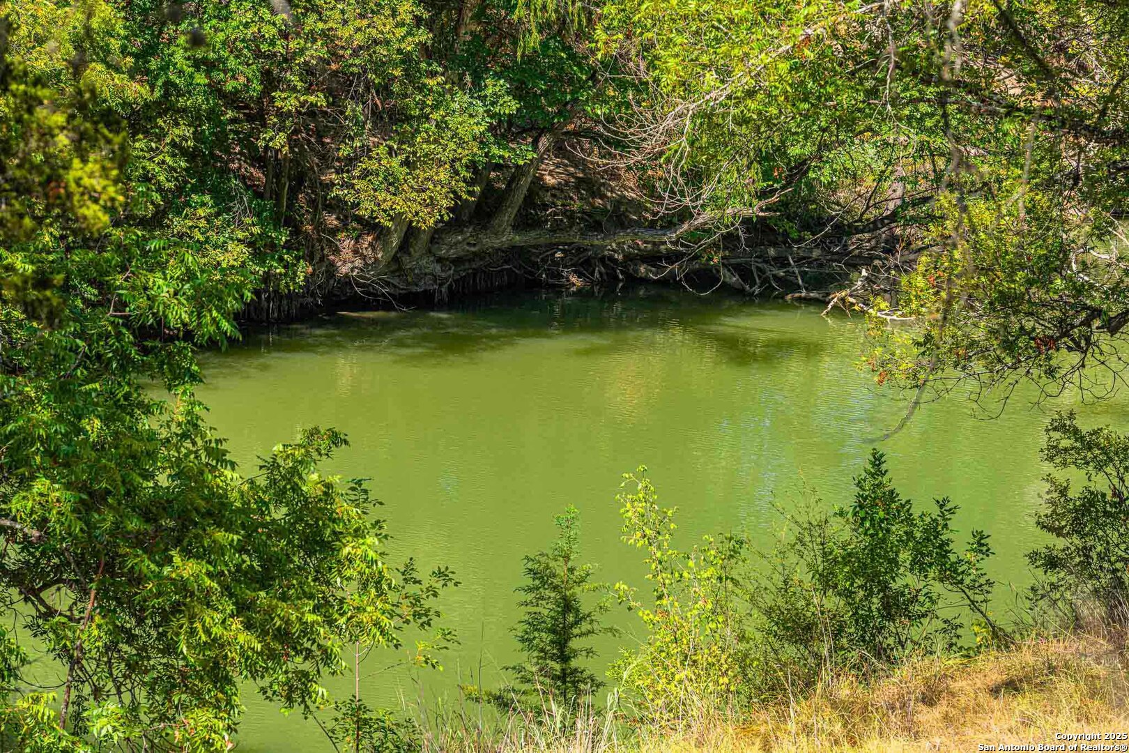 105 A Oleander Road Comfort, TX 78013 - Photo 21 of 25 a view of a ocean view