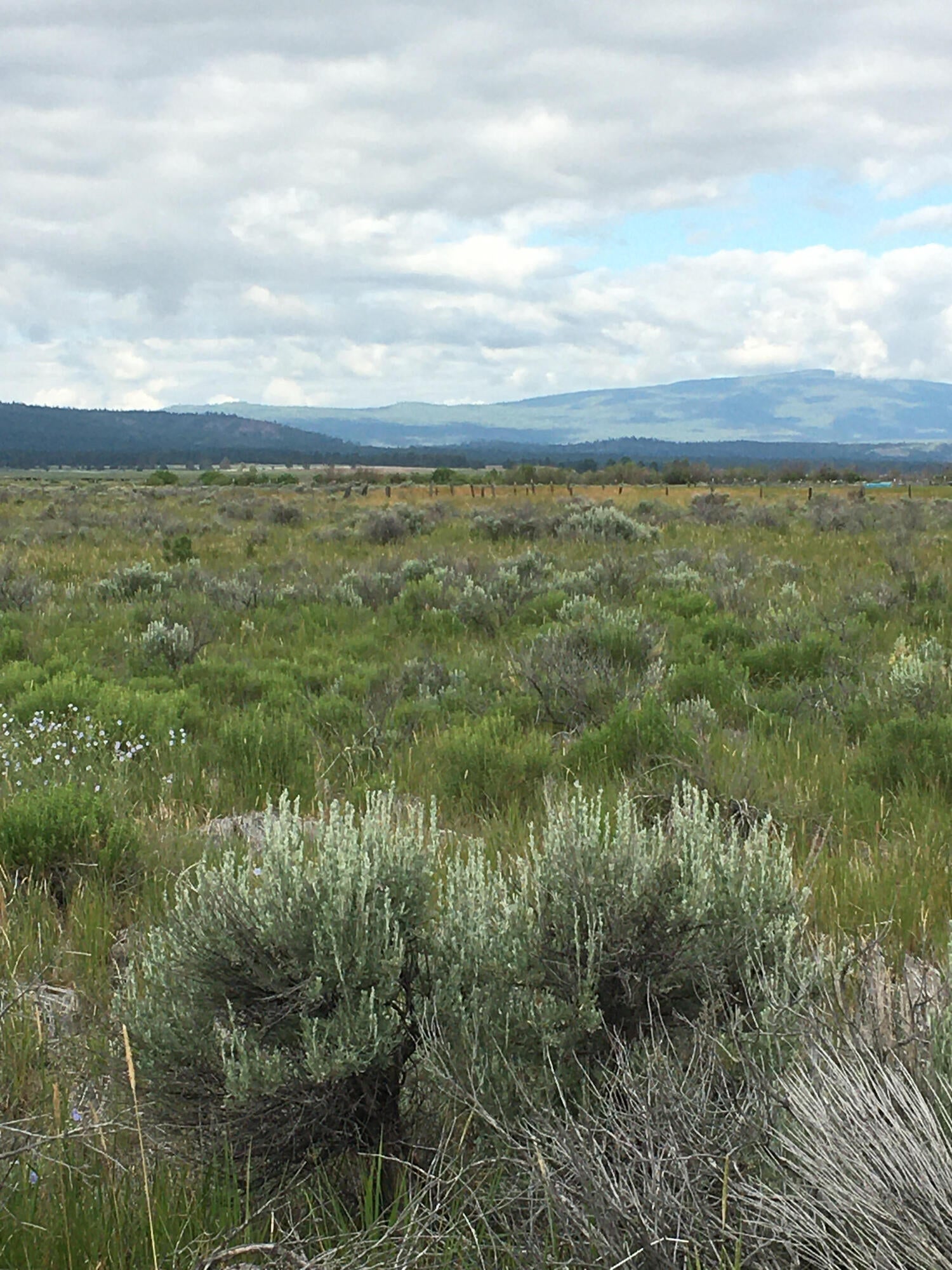 Drews Road, Unit 27 Chiloquin, OR 97624 - Photo 15 of 15 d16