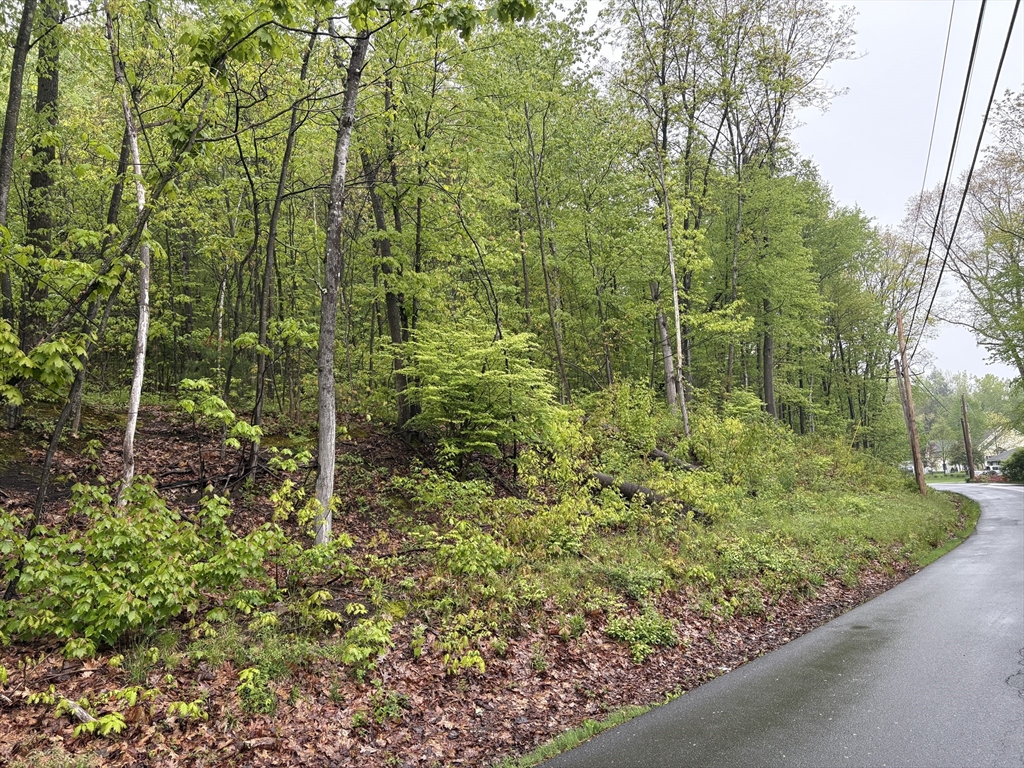 Tbd Lower Road Deerfield, MA 01342 - Photo 6 of 8 a view of a garden