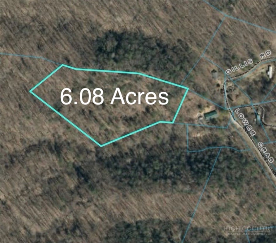 737 Lower Crab Orchard Road Banner Elk, NC 28604 - Photo 13 of 14