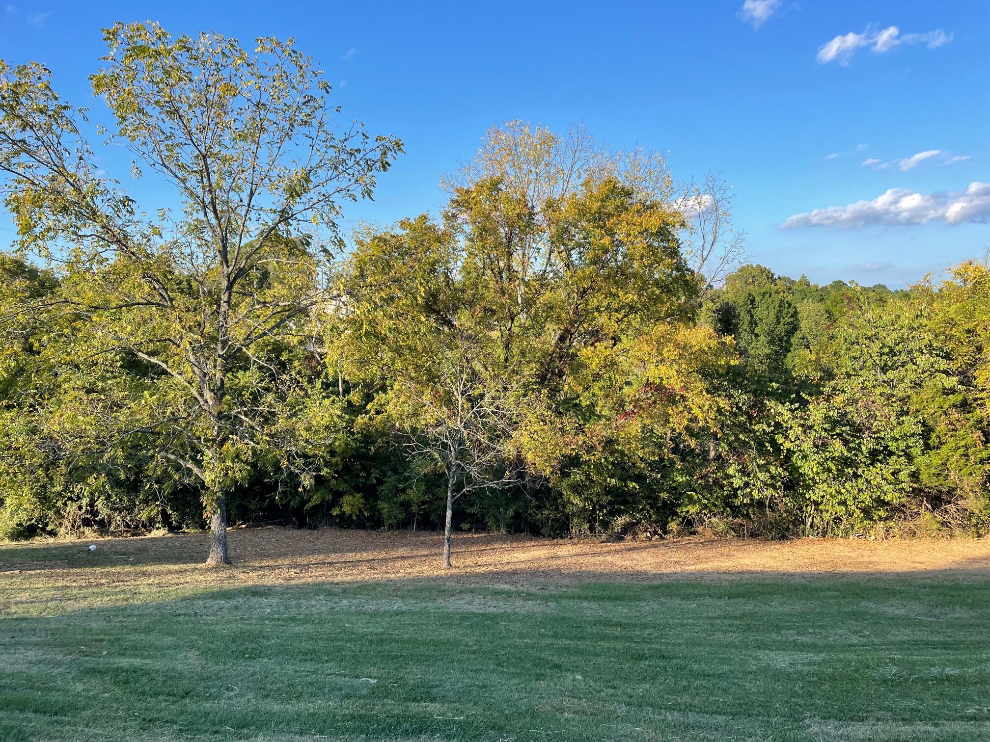 60 Castle-Knoll Road Williamstown, KY 41097 - Photo 16 of 24 Gallery Image 16