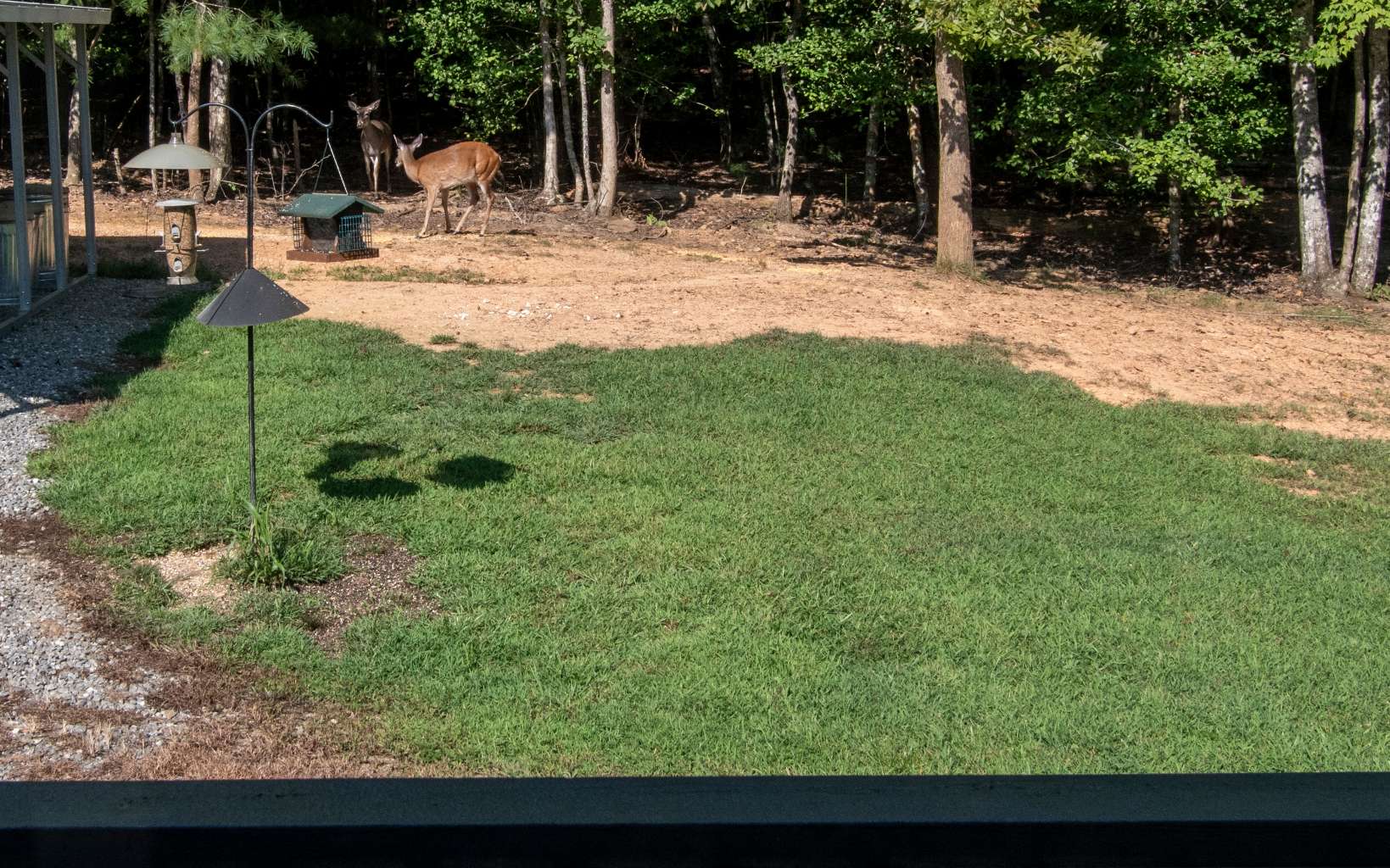 1174 Caler Road Brasstown, NC 28902 - Photo 1 of 1 Main View