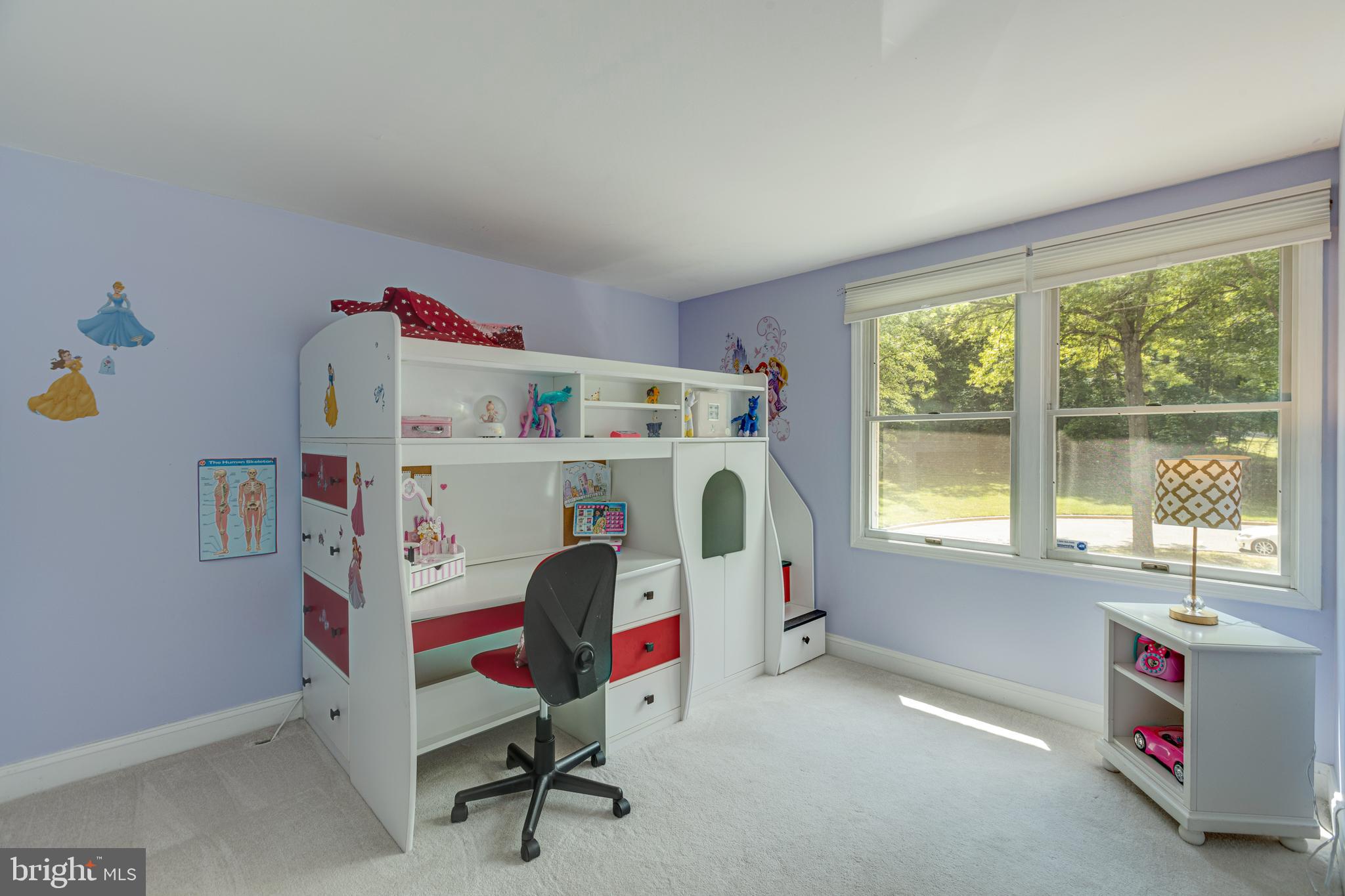 5835 Canvasback Road Burke, VA 22015 - Photo 26 of 45 Second Bedroom