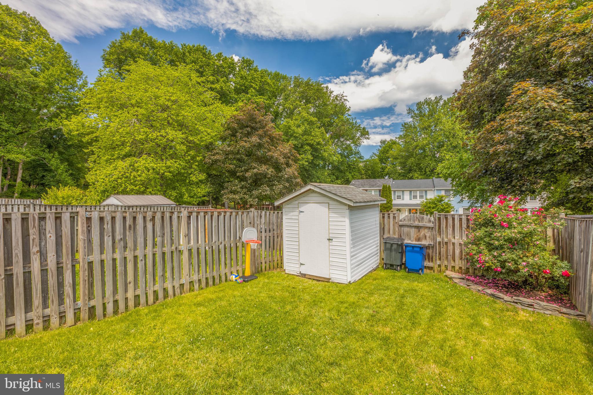 5835 Canvasback Road Burke, VA 22015 - Photo 44 of 45 Backyard Lawn; and Nice Rose Bush!