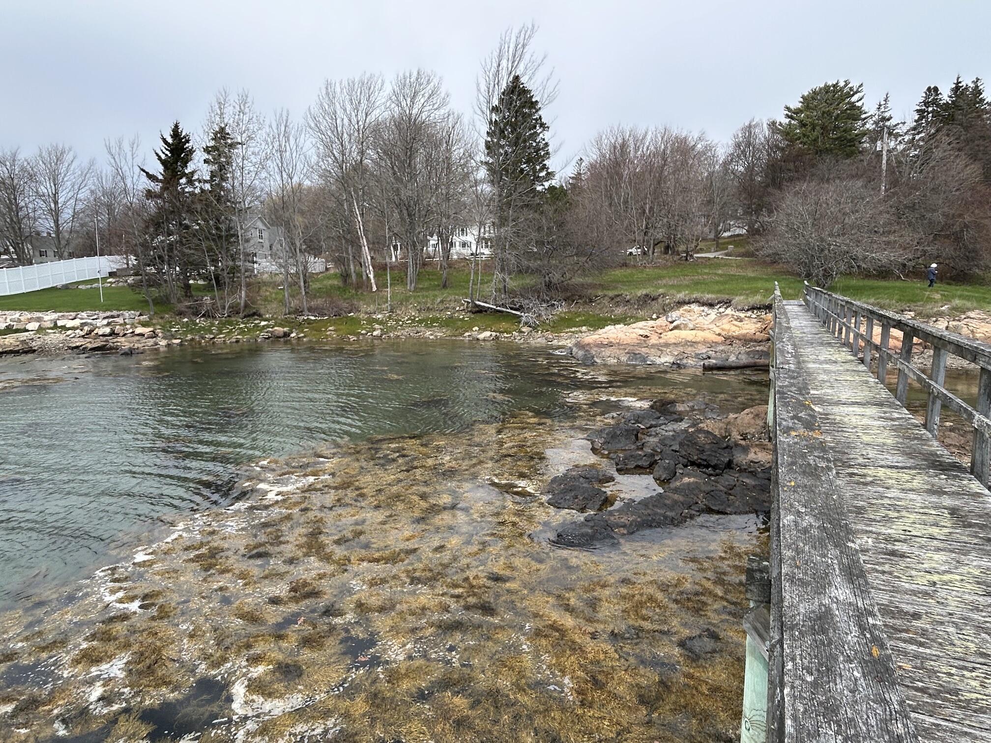 148 Clark Point Road Southwest Harbor, ME 04679 - Photo 10 of 19 IMG_7171